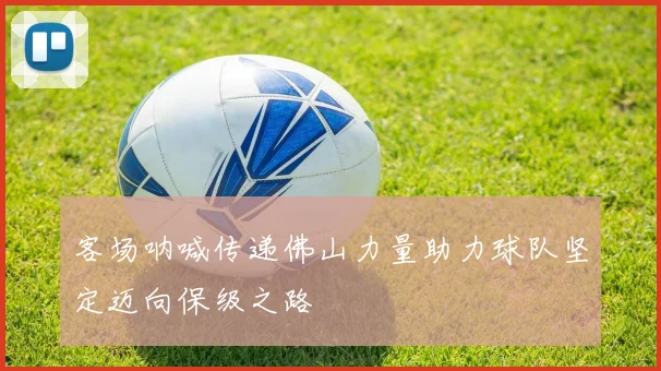 客场呐喊传递佛山力量助力球队坚定迈向保级之路