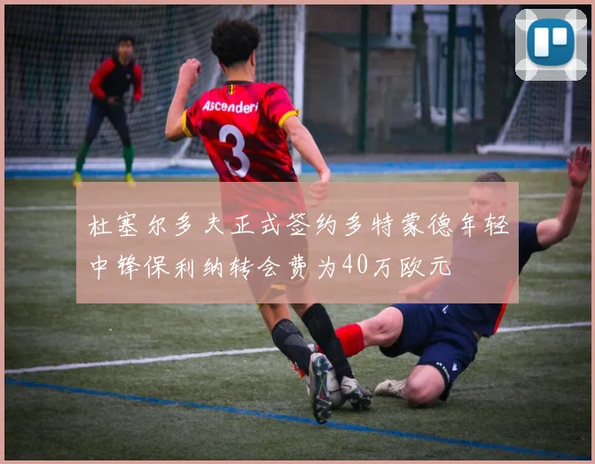 杜塞尔多夫正式签约多特蒙德年轻中锋保利纳转会费为40万欧元